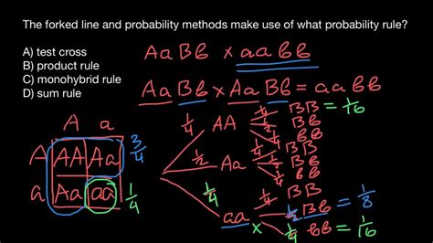 sum and product rule genetics.